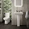 Hudson Reed Arlo Flush to Wall Toilet + Soft Close Seat  Standard Large Image