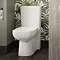 Hudson Reed Arlo Flush to Wall Toilet + Soft Close Seat Large Image