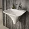 Hudson Reed Grace Wall Hung Basin - NCT102 Large Image