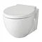 Hudson Reed - Langdon wall hung pan with soft close seat & wall fixings - CBU004 Large Image