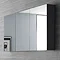 Hudson Reed - Quartet Mirror Cabinet - High Gloss Grey - LQ055 Profile Large Image