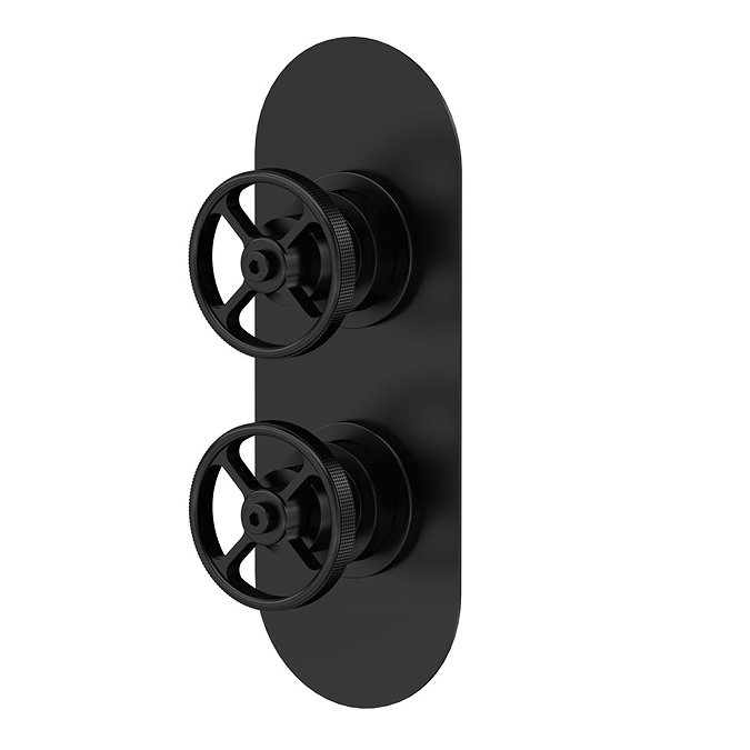 Hudson Reed Revolution Industrial Twin Concealed Thermostatic Shower Valve with Diverter - SIWTW402