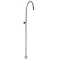 Hudson Reed Swan Neck Shower Rigid Riser inc Diverter Large Image