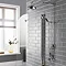 Hudson Reed Topaz Black Exposed Valve inc. Rigid Riser Kit, Diverter, 8" Shower Rose & Handset Large