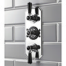 Hudson Reed Topaz Black Triple Concealed Thermostatic Shower Valve - BTSVT003  Profile Large Image