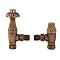 Hudson Reed - Traditional Angled Radiator Valves - Antique Brass - RV006 Large Image