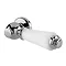 Hudson Reed White Ceramic Cistern Lever - E370 Large Image