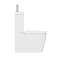 Iconic Space Saving Combined Two-In-One Wash Basin + Toilet