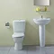 Ideal Standard Alto Soft Close Toilet Seat & Cover  Feature Large Image