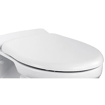 Ideal Standard Alto Toilet Seat & Cover with Stainless Steel Hinges  Profile Large Image
