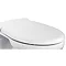 Ideal Standard Alto Toilet Seat & Cover with Stainless Steel Hinges Large Image