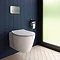 Ideal Standard Oleas P3 Matt Chrome Pneumatic Dual Flush Plate - R0124JG Profile Large Image