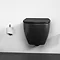 Ideal Standard Silk Black IOM Spare Toilet Roll Holder  Feature Large Image