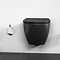 Ideal Standard Silk Black IOM Spare Toilet Roll Holder Feature Large Image