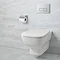 Ideal Standard Studio Echo Toilet + Concealed WC Cistern with Wall Hung Frame Large Image