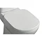 Ideal Standard Tempo Toilet Seat & Cover Large Image