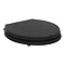 Ideal Standard Waverley Black Standard Toilet Seat & Cover  Feature Large Image