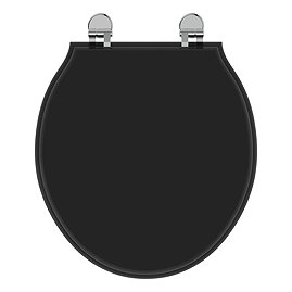 Ideal Standard Waverley Black Standard Toilet Seat & Cover Large Image