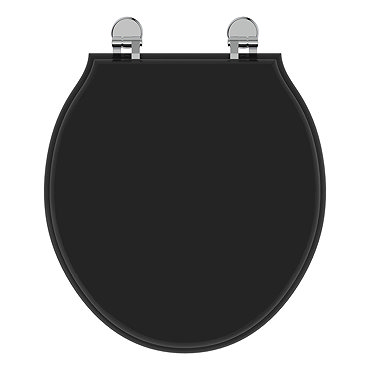 Ideal Standard Waverley Black Standard Toilet Seat & Cover  Profile Large Image