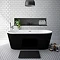 Brooklyn Black 1690 x 790mm Double Ended Freestanding Bath Large Image
