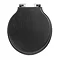 Imperial Etoile Soft Close Toilet Seat with Chrome Hinges - Wenge Large Image