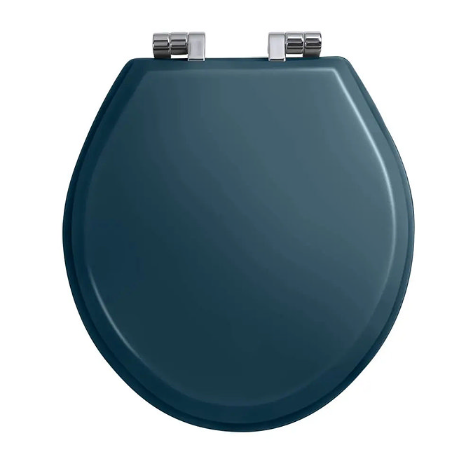 Imperial Oval Soft Close Toilet Seat with Chrome Hinges - Moseley Blue Large Image