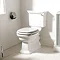 Imperial Radcliffe Close Coupled Toilet with Chrome Flush Lever Feature Large Image