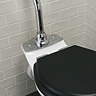 Imperial Radcliffe High Level Toilet with Metal Plate + Chrome Fittings  Profile Large Image