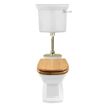 Imperial Radcliffe Low Level Toilet with Metal Plate + Antique Gold Fittings  Profile Large Image