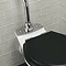 Imperial Radcliffe Low Level Toilet with Metal Plate + Chrome Fittings  Profile Large Image