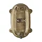 Industville 6" Bulkhead Outdoor & Bathroom Oval Light - Brass - BK-IP65-OWL6-B-SW-RB  Feature Large 