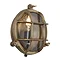 Industville 8" Bulkhead Outdoor & Bathroom Round Light - Brass