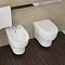 Isvea Bplus Rimless Wall Hung WC Pan Standard Large Image