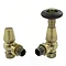 Jaguar Thermostatic Angled Radiator Valves - Antique Brass Large Image