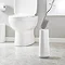 Joseph Joseph Flex Smart Toilet Brush & Holder - White/Grey - 70515  Standard Large Image