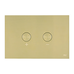 JTP Brushed Brass Steel Pneumatic Flush Plate Large Image