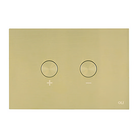 JTP Brushed Brass Steel Pneumatic Flush Plate Large Image