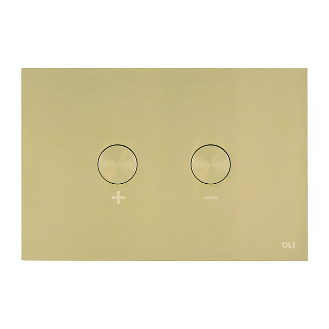 JTP Brushed Brass Steel Pneumatic Flush Plate Large Image