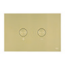 JTP Brushed Brass Steel Pneumatic Flush Plate Large Image