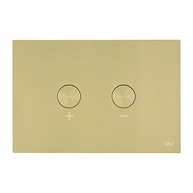 JTP Brushed Brass Steel Pneumatic Flush Plate Large Image