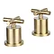 JTP Solex Brushed Brass Deck Mounted Panel Valves (Pair) Large Image