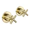 JTP Solex Brushed Brass Wall Mounted Side Valves (Pair) Large Image