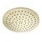 JTP Vos Brushed Brass 250mm Round Shower Head  Profile Large Image