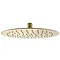 JTP Vos Brushed Brass 250mm Round Shower Head Large Image