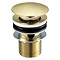 JTP Vos Brushed Brass Slotted Click Clack Basin Waste Large Image