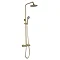 JTP Vos Brushed Brass Thermostatic Shower - 2352819BBR Large Image
