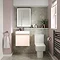 Juno 500 x 360mm Blush Pink Wall Hung Vanity Unit  Feature Large Image