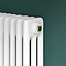 Keswick 1500 x 380mm Cast Iron Style Traditional 3 Column White Radiator