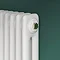 Keswick 1500 x 470mm Cast Iron Style Traditional 2 Column White Radiator