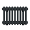 Keswick 300 x 425mm Horizontal Radiator Anthracite 2 Column